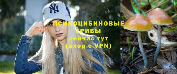спайс Михайловск