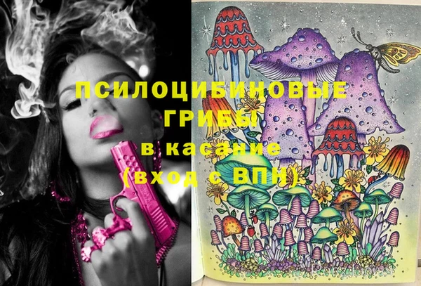 спайс Михайловск